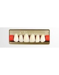 Acrylic Teeth Classic 6αρα